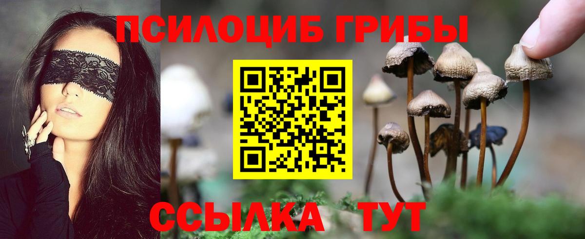 Казань  Галлюциногенные грибы GOLDEN TEACHER  Вход с VPN 